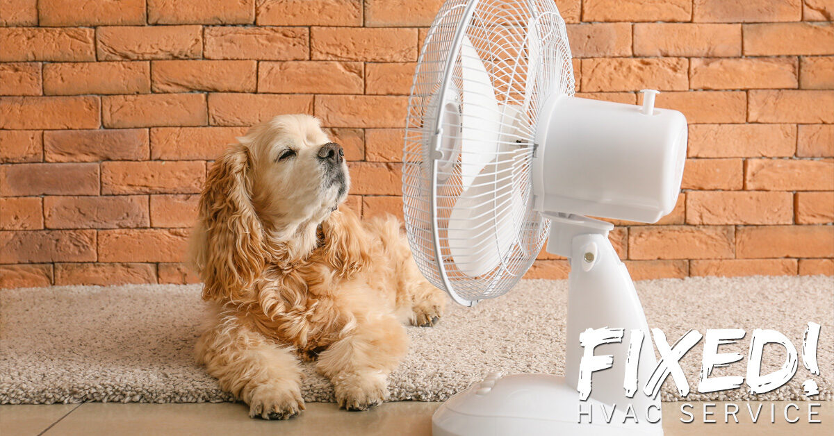 Home Cooling Tips